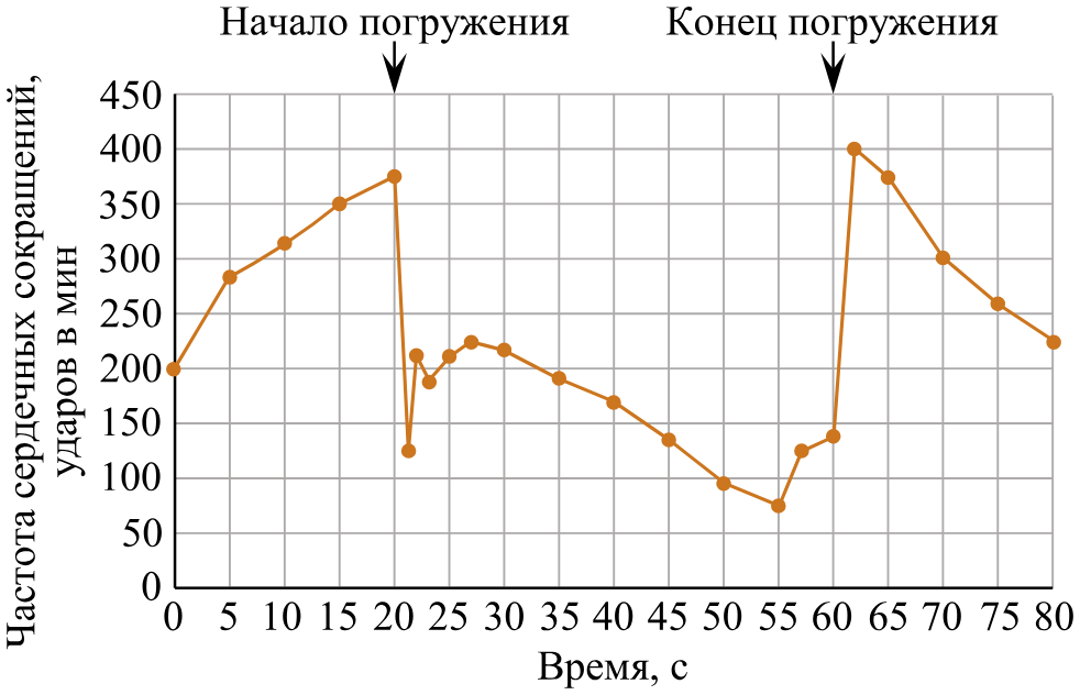 Рисунок к заданию (биология №21)
