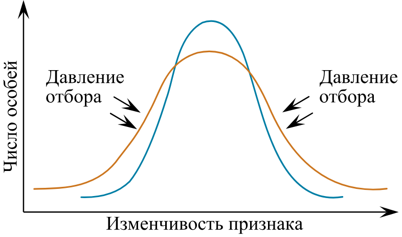Рисунок к заданию (биология №20)