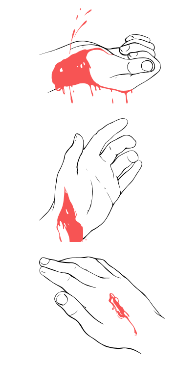 Рисунок к заданию (биология ОГЭ №22)